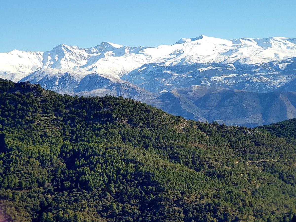 Apartamento Rincón del Genil Cenes De La Vega Exterior foto